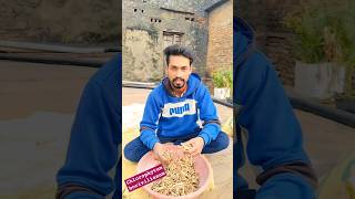 white musli Chlorophytum borivilianumindianvlogger explore minivlog aayurveda hindi [upl. by Yllek]