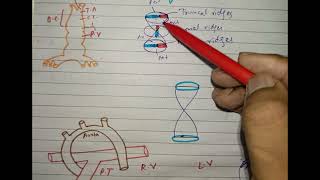 CV A 006 Development of outflow tract of ventricle in development of heart ❤️💖 made easy [upl. by Naara]