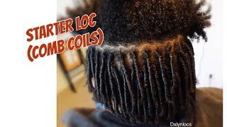 STARTER LOCS no gel no wax  WHAT TO EXPECT [upl. by Berke]