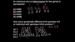 What is the difference between homozygous and heterozygous [upl. by Kcirddec510]