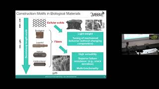 Davide Ruffoni  3D Printing to Prototype Bioinspired Architectured Materials 15032022 [upl. by Opiuuk788]