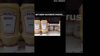 Italian Harry Potter Puppet Pals mustard anyone funnymemes puns shorts [upl. by Alaik657]