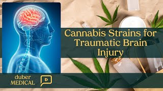 Cannabis Strains for Traumatic Brain Injury [upl. by Anitnas860]