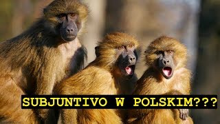 Subjuntivo  Wstęp  Tryb Łączący W Języku Polskim I Hiszpańskim  Hablo Español 63 [upl. by Vandervelde824]