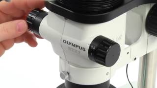 How to Set Up a Basic Stereo Microscope [upl. by Mazonson]