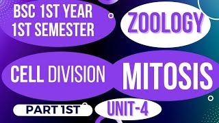 Cell Division Mitosis in hindi  cell division bsc 1st year 1st semester zoology unit 4 [upl. by Laerol480]