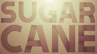 Sugarcane  Shaggy Official Lyric Video [upl. by Rihsab]