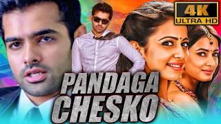 Diwali Special Blockbuster Movie  Pandaga Chesko 4K  राम पोथीनेनी रकुल प्रीत सिंह ब्रह्मानंदम [upl. by Lacey589]