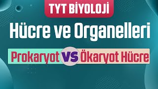 14 Hücre ve Organelleri  Prokaryot ve Ökaryot Hücre Farkları [upl. by Millar]