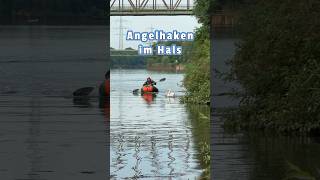 Angelhaken im Hals tierrettung animalrescue tiernotruf schwan [upl. by Bullivant686]