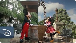 Disneyland Resort amp Walt Disney World  A Tale of Two Disney Parks [upl. by Sonya915]