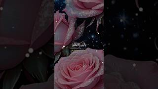 SURAH LAIL  سورۃ الیل  shortvideo islam quraan yt YouTube islamicthoughtsz [upl. by Aronas]