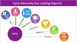 Webinar  Opioids and Early Adversity Connecting Childhood Trauma and Addiction [upl. by Francklyn]