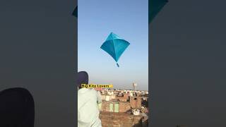 Big Kite Kite Flying Kite Trick⭐️ kite kites kiteflying patang youtubeshorts ytshorts shorts [upl. by Wells158]