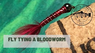 Bloodworm Fly Pattern A Stillwater Essential [upl. by Stephie90]