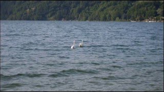 Calceranica al lago di Caldonazzo  La spiaggia Giugno 2011 [upl. by Sineray]