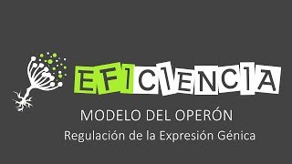 MODELO DEL OPERÓN Regulación de la Expresión Génica [upl. by Leasim]