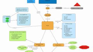 Cours Management de projet 71 [upl. by Keelby]