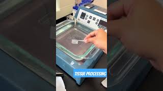 Tissue Processing  Histopathology [upl. by Peursem706]