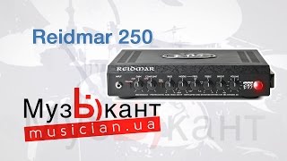 EBS Reidmar 250  басовый услитель quotголоваquot  Игорь Закус [upl. by Retsevlis]