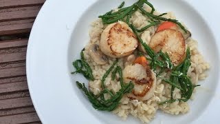 Risotto with seared scallops and samphire Cooking Video [upl. by Doll324]