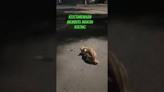 keistimewaan ngasih makan kucing [upl. by Asuncion]