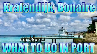 Walking in Kralendijk Bonaire  What to Do on Your Day in Port [upl. by Pernas]