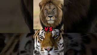 ENGLISH MASTIFF VS LION POLAR BEAR WOLF JAGUAR BITE FORCE [upl. by Ecnarrat]