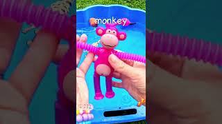 Learn Animal Names for Babies Toddlers Kids Flamingo Chameleon Gecko Giraffe Monkey Alpaca [upl. by Heiskell]