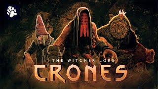 What Are Crones  Witcher Lore  The Crones of Crookbag Bog [upl. by Mellitz62]