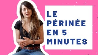 LE PERINEE QUEST CE QUE CEST  Anatomie Rôles amp Conseils  Par une kiné spécialisée 👯‍♀️ [upl. by Enyawud]