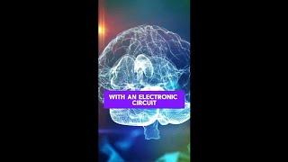 What happens if you fuse brain tissue with an electronic circuit 🧠 brain electronics ai [upl. by Tabber]