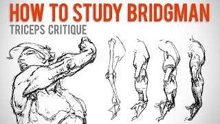 How to Study Bridgman  Student Anatomy Critique [upl. by Daegal]