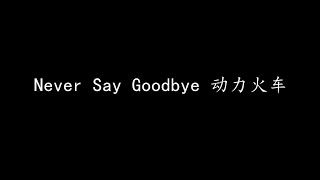 Never Say Goodbye 动力火车 歌词版 [upl. by Nodgnal]