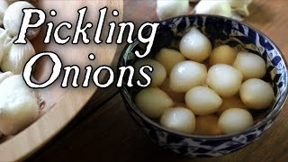 Pickling Onions Made Easy  Historical Food Preservation [upl. by Oruhtra]