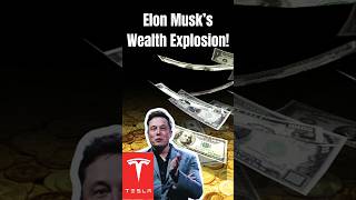 Elon Musk’s Wealth Explosion Shocking Numbers Revealed [upl. by Ettesus]