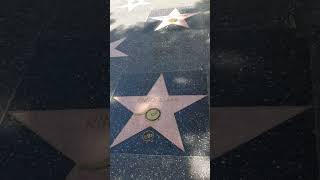 Capital Records Walk of fame Hollywood Los Angeles USA America [upl. by Aicilram]