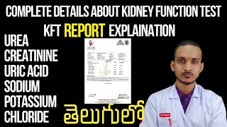 Kidney Function Test In Telugu  KFT Report Explanation In Telugu  RFT  akhilmlt [upl. by Vasileior]