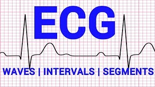 03 ECG  WAVES SEGMENTS INTERVALS  CARDIOVASCULAR PHYSIOLOGY [upl. by Winola]