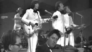 THE HOLLIES Stewball 1969 [upl. by Aicerg]