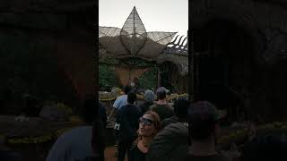 Nirmal live at origens jungle calling 2018 Goa [upl. by Latsryk]