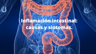 ¿Qué es un intestino inflamado cuáles son sus síntomas y las causas que lo provocan [upl. by Calderon425]