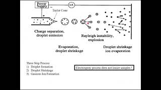 Mass Spectrometry Part 4 Electrospray Ionization [upl. by Carree]