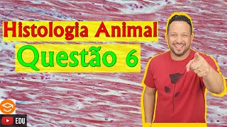 Questão 6  Histologia Animal  Biologia com o Tubarão [upl. by Hplodur]