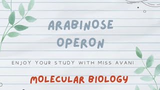 Arabinose Operon  Molecular Biology [upl. by Giwdul]