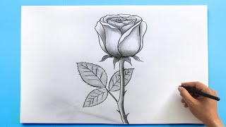 ROSE Drawing Easy 🌹 How to Draw a Rose step by step [upl. by Hubie]