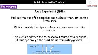 A Level Biology  5153  Investigating Tropisms [upl. by Philemon]