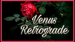 Venus Retrograde in Birth Chart  How Can I Love When Im Afraid to Fall [upl. by Basir]