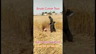 Wheat Cutting Tool  Brush Cutter Price latest GrassCutter BrushCuter [upl. by Yv]