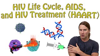 HIV Life Cycle AIDS and HIV Treatment HAART [upl. by Emixam]